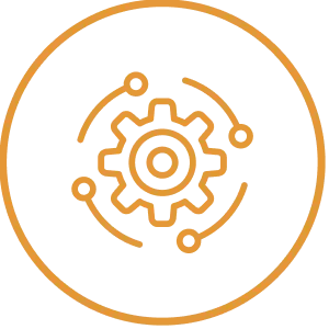 Whole-System Focused